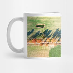 Alley of autumn trees among green fields in countryside Mug